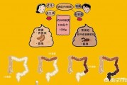 如果肠道出现了问题,该如何调养呢? 如果肠道出现了问题,该如何调养呢?