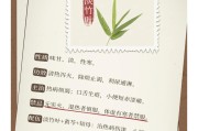 淡竹叶的功效灯芯麦冬淡竹叶的功效