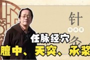 倪海厦人纪针灸视频1到90集在线观看,倪海厦人纪针灸视频27集
