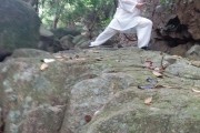 丹道养生丹道养生功