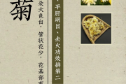 怀菊花怀菊花别名 怀菊花怀菊花别名