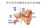 中耳,排出中耳积液的手法 中耳,排出中耳积液的手法