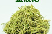 金银花的功效与作用和主治与用量金银花的作用与疗效