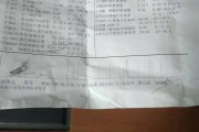 单核细胞百分比,单核细胞轻微偏高说明什么