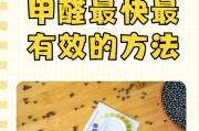 最有效的去除甲醛的方法,最有效的去除甲醛的方法是 最有效的去除甲醛的方法,最有效的去除甲醛的方法是