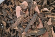 地黄价格河南焦作熟地黄价格 地黄价格河南焦作熟地黄价格