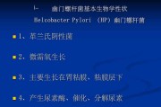 幽门螺旋杆菌正常值是多少,c13幽门螺旋杆菌正常值是多少