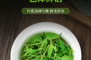 青山绿水茶,青山绿水的茶叶