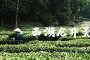 龙井茶原产地,龙井茶原产地在哪里