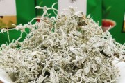 土家藤茶土家藤茶多少钱一盒
