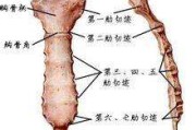 剑突左下方隐隐疼痛,剑突