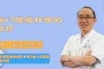 接吻100%会传染幽门螺旋杆菌吗,幽门螺旋杆菌吃什么药治疗