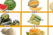 吃了养胃的水果有哪些好处吃了养胃的水果有哪些