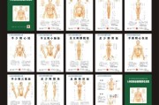 人体经络图解大全 十二经脉,人体经络 人体经络图解大全 十二经脉,人体经络