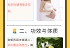 金银花露孕妇可以喝吗上火,金银花露孕妇可以喝吗