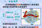 体液,体液德国百度网盘