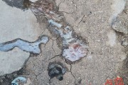 拉屎跟拉水一样还喷射,上吐下泻怎么办