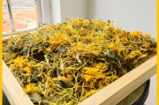 金银花泡澡的功效与作用,艾草金银花泡澡的功效与作用