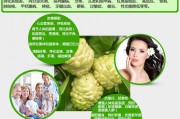 【诺丽亲-疾病篇】诺丽对肠胃炎的调理 【诺丽亲-疾病篇】诺丽对肠胃炎的调理