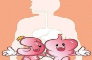 消化不好怎么办肚子消化不好怎么办 消化不好怎么办肚子消化不好怎么办