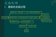 痢疾痢疾的大便图解