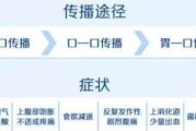 关于幽门螺旋杆菌检测正常值是多少的信息
