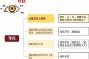 倪海厦的生辰八字,倪海厦的生辰八字是什么