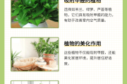 如何去除甲醛最有效的方法如何去除甲醛最有效方法图片大全 如何去除甲醛最有效的方法如何去除甲醛最有效方法图片大全