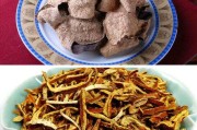 紫苑的配伍紫苑陈皮泡水功效与作用