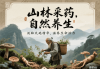 白部中药：功效与作用大揭秘，抗炎、抗氧化、抗肿瘤样样行！