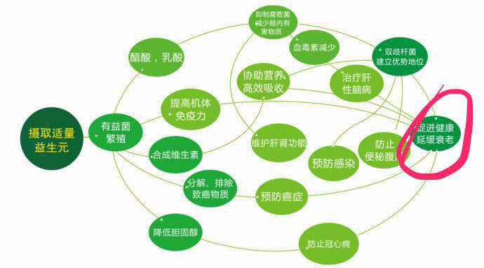 肠道与健康