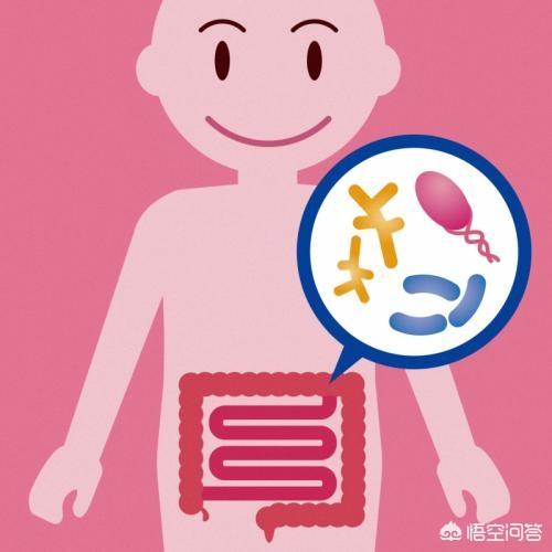 肠道菌群对人的意识<strong>肠道</strong>，行为，习惯，思维能否产生影响？