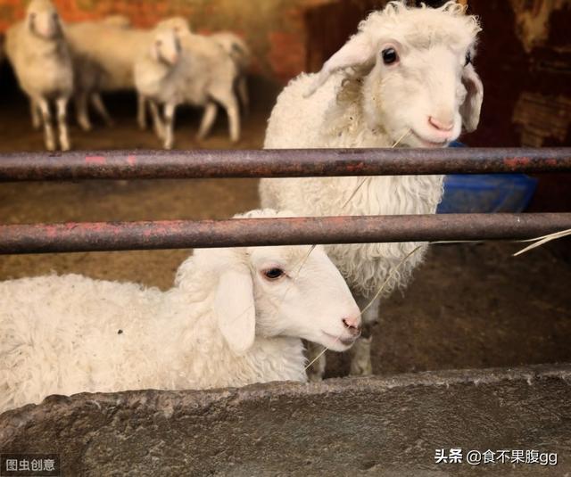 便秘的人<strong>肠道</strong>，一连几天不排，肠道到底堆积了多少东西？