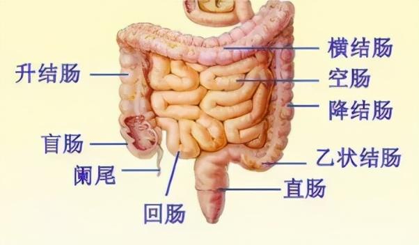 健康
