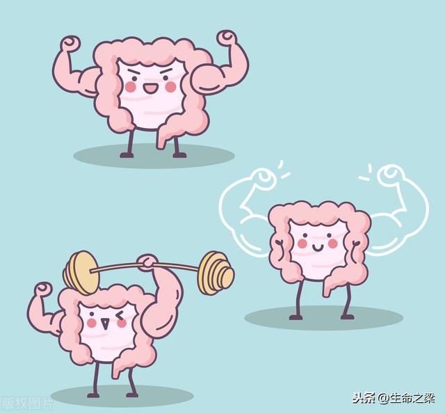 肠道全靠养<strong>肠道</strong>，牢记这五点，肠道更健康