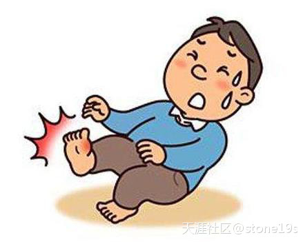 人体自身免疫系统与肠道菌群畅森态存在着互相影响的关系