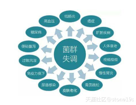 为什么你的尿酸一直降不下来<strong>肠道</strong>，可能是你体内肠道益生菌不够畅森态