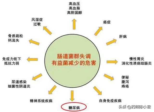 你的肠道<strong>肠道</strong>，决定了你的寿命、情绪、免疫力！养护肠道健康这样做！