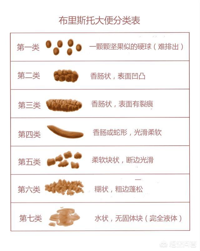 如何判断肠道是否健康<strong>肠道</strong>？