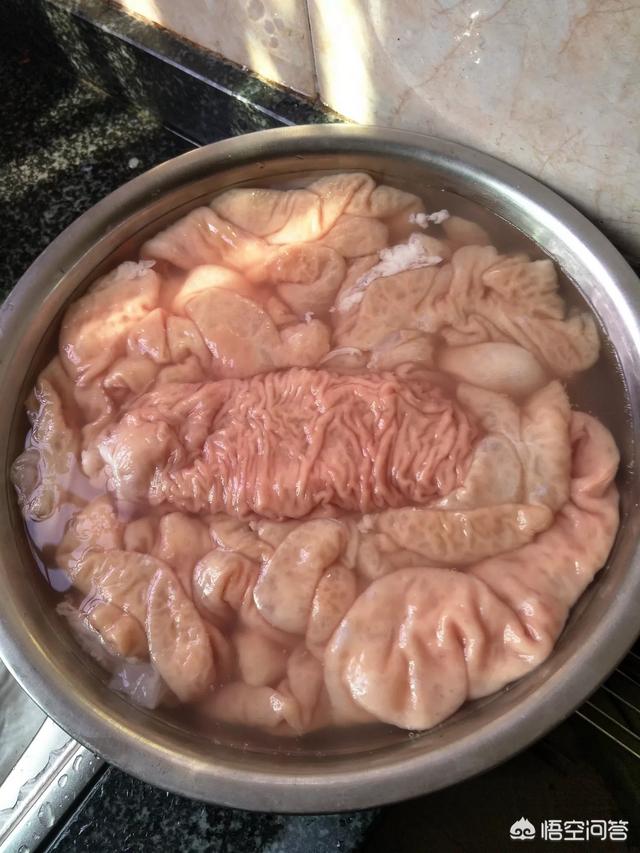 农村老人常说猪身上最好吃的是猪“肥肠”<strong>肠道</strong>，这个肥肠到底是什么肠子？