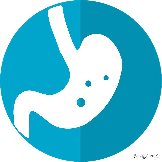 肠胃不好<strong>肠道</strong>，以至于放屁太多，很不好意思啊，怎么办呢？