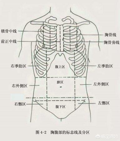 胃痛和腹痛的区别是什么<strong>胃脘痛</strong>？