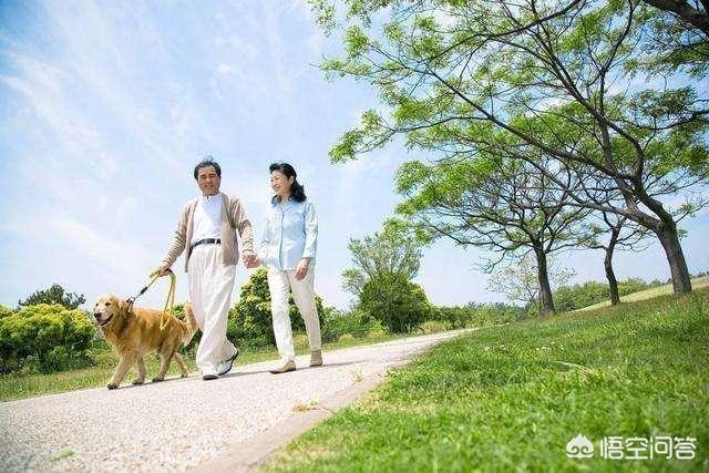 胃有“四怕”要戒掉<strong>健胃</strong>，养胃抓住“饭后半小时”，记住一句养胃口诀，指的都是什么？