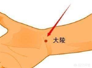 胃有“四怕”要戒掉<strong>健胃</strong>，养胃抓住“饭后半小时”，记住一句养胃口诀，指的都是什么？