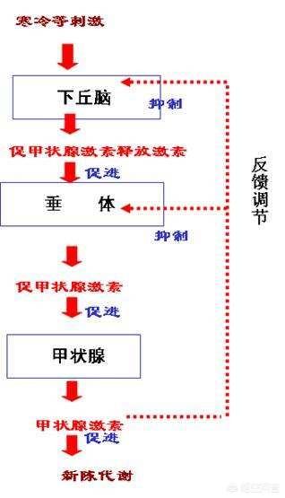 有知道什么好的瘦身方法吗<strong>减肥方法</strong>？