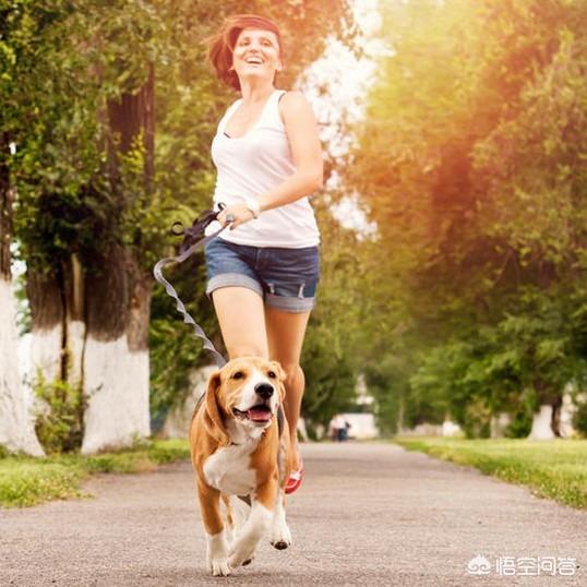 跑步怎么样减肥才是最有效果的<strong>跑步减肥</strong>？
