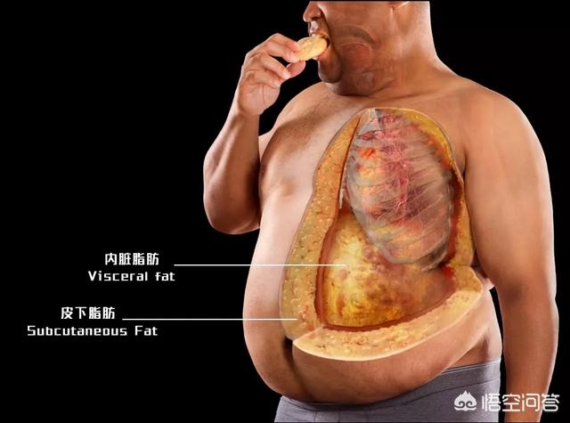 如何轻松减脂<strong>减肥</strong>？