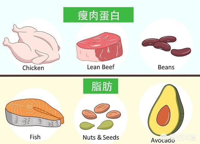 如何科学减脂<strong>减肥</strong>？