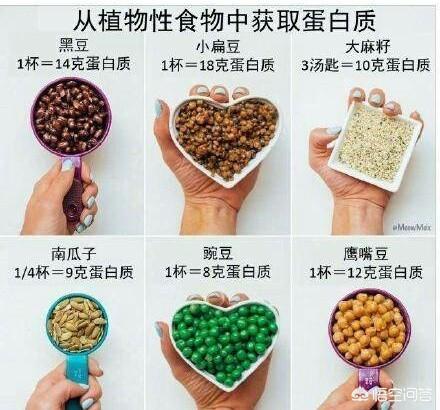 减肥可以吃哪些零食<strong>减肥食物</strong>？