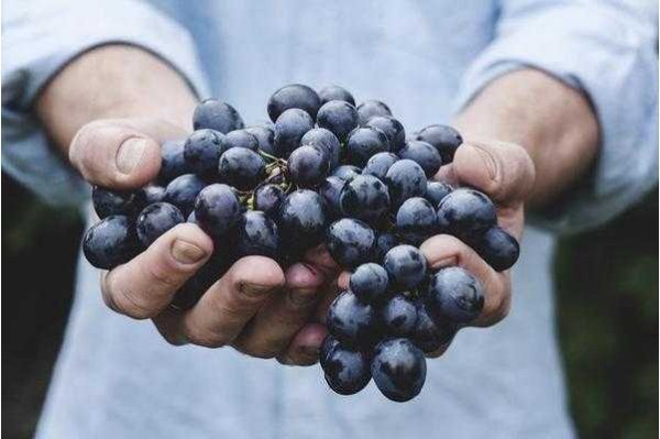 减肥期能不能吃零食？如果能<strong>减肥</strong>，应该吃哪些？